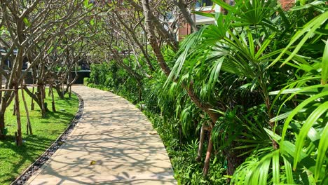 A-garden-pathway-through-a-tunnel-of-tree-branches-in-a-tropical-paradise