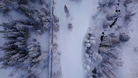 Overhead-flying-drone-shot-in-Wasatch-Forest-in-December