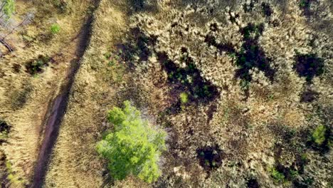 Drone-images-shot-near-Lake-Hughes-Road-in-Castaic,-California