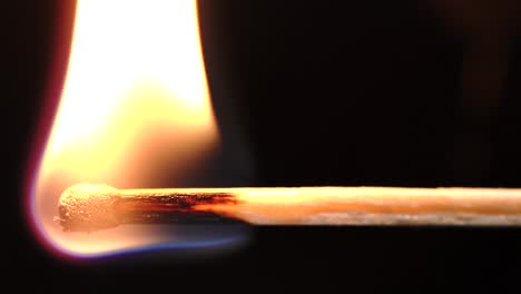 Slowmotion-macro-shots-of-matches-being-lit-and-running-out-creating-different-shapes