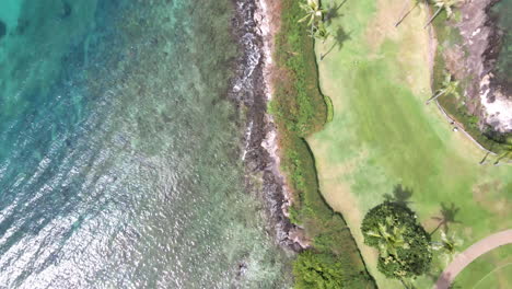 Top-down-view-on-Napili-Bay,-turquoise-water-Maui-coast,-Hawaii,-USA