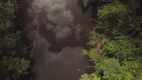 Blick-Von-Oben-Auf-Einen-Fluss-Im-Amazonas-Regenwald