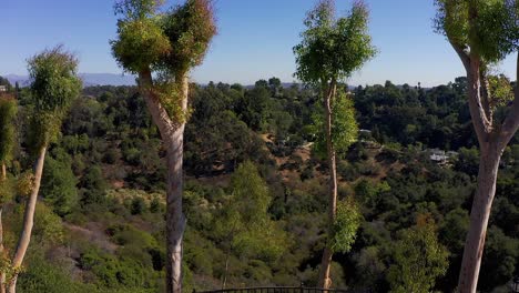 Aerial-rising-shot-above-trees-on-a-patio-with-view-of-Southern-CA-valley
