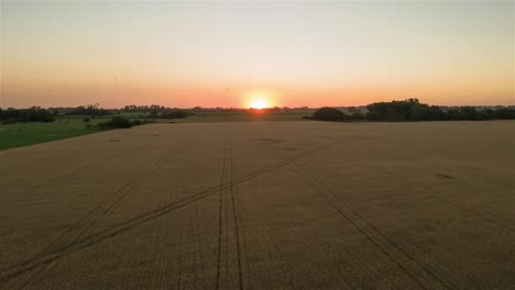 Lufthyperlapse-Eines-Sonnenuntergangs-In-Einem-Weizenfeld