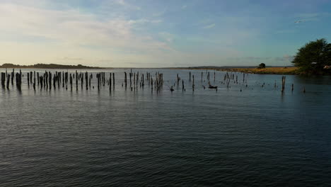 Flying-Through-Wooden-Pillars-Of-The-Old-Pier-Sticking-In-Calm-Water-At-Coquille-River,-Bandon,-Oregon