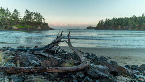 Blue-Hour-Sunrise-In-Sunset-Bay-State-Park-In-Oregon---low-level-shot,-time-lapse