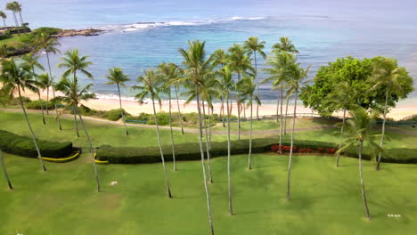 Aerial-view-palm-trees,-tropical-beach-and-turquoise-ocean-at-Napili-Bay,-Maui