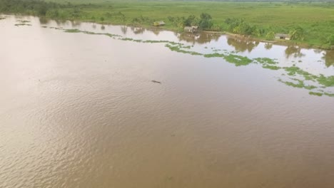 Luftaufnahme-Eines-Winzigen-Indigenen-Kanus,-Das-Im-Orinoco-Fluss-Schwimmt,-Mit-Kleinen-Indigenen-Häusern-Am-Grünen-Ufer