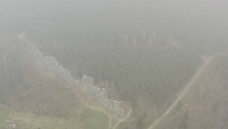 Fog-Covering-A-Rock-Wall-And-Trees-In-A-Beautiful-Forest,-Natural-Breathtaking-Landscape