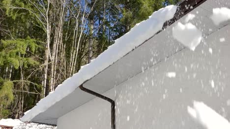 Nieve-Deslizándose-Del-Techo-De-Hojalata-Después-De-Una-Tormenta-De-Nieve-En-Diciembre-En-Canadá