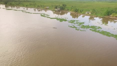 Drohnenansicht-Eines-Kleinen-Indigenen-Kanus,-Das-Den-Orinoco-Fluss-Mit-Indigenen-Häusern-Am-Grünen-Ufer-Kreuzt