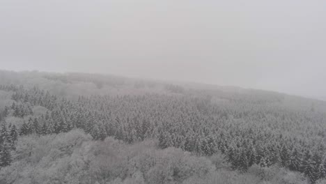 Aerial-shot-over-vast-misty-forest-landscape-with-snow-covered-treetops