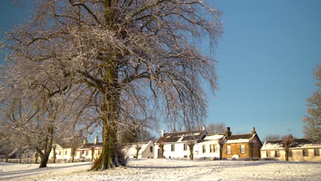Gehender-Schuss-Auf-Einen-Großen-Baum-Ohne-Blätter-Und-Wenig-Schnee-Und-Dorfszene-Im-Hintergrund