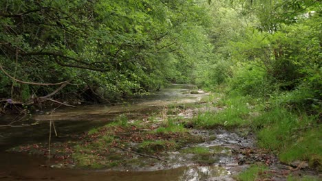 Ruhig-Fließender-Fluss-Mit-Klarem-Wasser-Im-Wald-Von-Serbien---Niedrige-Antenne