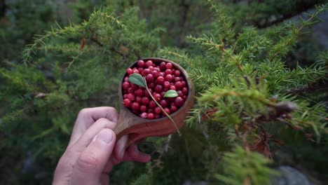 A-Person-Holding-a-Cup-of-Fresh-Lingonberries-In-The-Forest,-Close-up