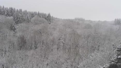 Schneefall-Bedeckt-Eine-Zerklüftete-Felsformation-über-Einem-Winterlichen-Wald,-Rocher-De-Bilisse,-Luftstoß