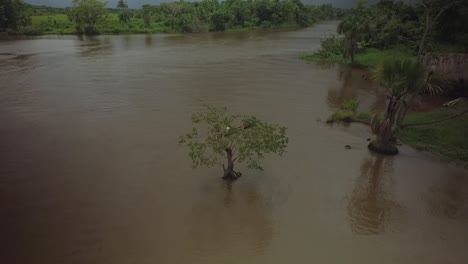 Luftaufnahme-Eines-Einheimischen-Kanus,-Das-In-Einem-Dorf-Im-Orinoco-Fluss-Zwischen-Mangroven-Im-Regenwald-Ankommt