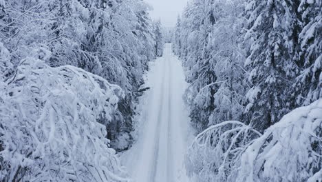 Aerial-drone-video-of-snow-bent-tree-branches-over-remote-forest-road