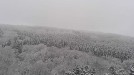 Schöne-Verschneite-Winterlandschaft-Mit-Weißen-Schneebedeckten-Waldbäumen-Bei-Schneefall-Und-Sturm,-Luftrückwärtsflug