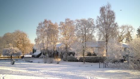 Walking-forward-into-a-snowy-golden-hour-scene-in-a-local-park,-Scotland