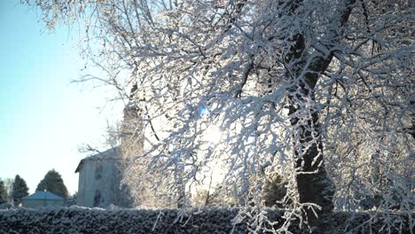 Schnee-Fällt-Von-Verschneitem-Baum-Mit-Kirche-Im-Hintergrund-Und-Sonne,-Die-Durch-Die-Kamera-Ragt,-Langsam-Von-Rechts-Nach-Links
