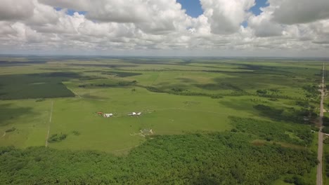 Aerial-shot-of-a-green-savanna-and-a-group-of-trees-with-beautiful-scattered-clouds-in-the-sky