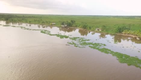 Drone-view-of-a-small-indigenous-canoe-crossing-a-mound-of-floating-algae-in-the-Orinoco-River-Delta