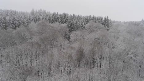 Aerial-shot-of-winter-forest-during-snowfall