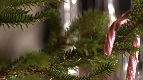 Hand-Schmückt-Weihnachtsbaum-Mit-Zuckerstange
