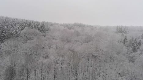 The-Ardennes-Forest-covered-in-snow,-Belgium,-slow-aerial-drone-shot-moving-forward