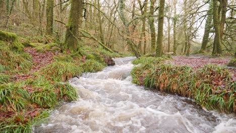 Fast-flowing-stream-through-woodland-in-the-winter