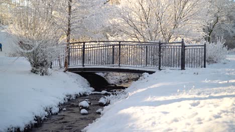 Static-shot-of-a-black-bridge-with-small-river-flowing-underneath-and-a-snowy-backdrop