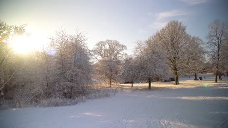 Weißer-Schnee-Bedeckte-Die-Zweige-Eines-Baumes,-Während-Die-Menschen-Im-Hintergrund-Den-Winter-Genießen