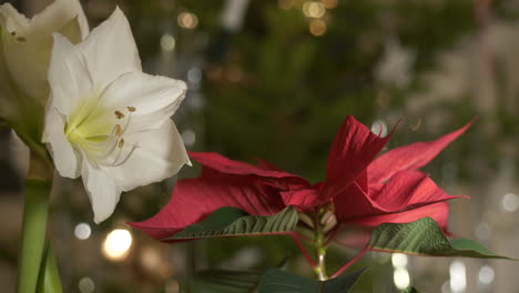Flores-De-Navidad-Con-Fondo-De-árbol-De-Navidad-En-La-Sala-De-Estar