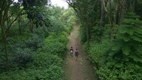 Two-friends-hiking-trail-in-rainforest-on-Maui-Island,-Hawaii,-USA