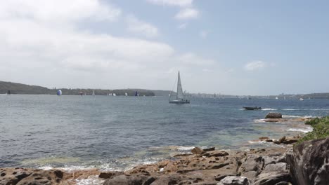 Segelboot,-Das-Die-Bucht-Von-Vaucluse-In-Sydney,-Australien,-überquert
