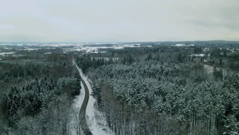 Carretera-Asfaltada-Entre-árboles-De-Hoja-Perenne-En-El-Bosque-Durante-El-Invierno-En-Pieszkowo,-Polonia