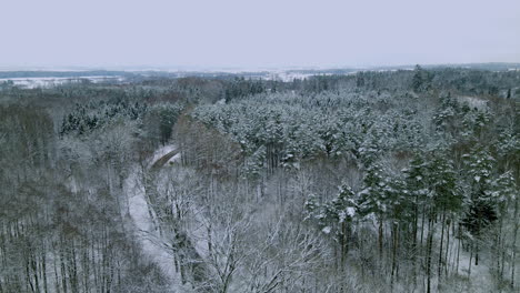 Aerial,-Top-view-of-the-mixed-forest-and-village-road-covered-with-deep-snow-in-Pieszkowo,-Poland