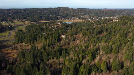 Aerial-flight-dense-remote-forest-homes-in-Coos-County-Oregon