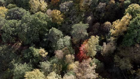 Aerial-view-of-woodland-in-Partille,-Sweden,-wide-shot-directly-above