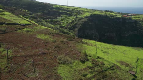 Lush-green-fields-on-top-of-cliffs-from-Madeira-Island,-arable-volcanic-land