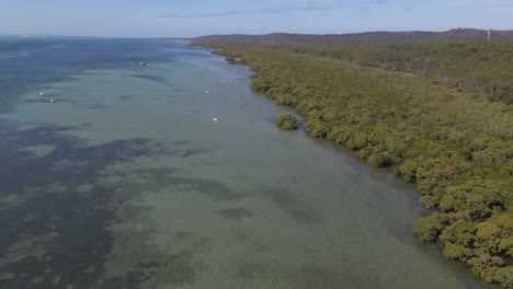 Boats-Floating-On-Calm-Water-Of-Coral-Sea-With-Lush-Green-Forest---North-Stradbroke-Island,-Minjerribah,-Queensland,-Australia