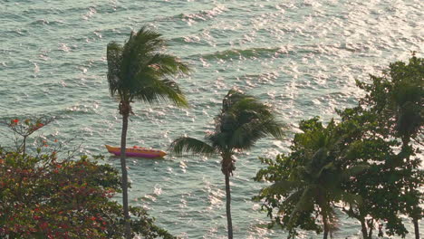 Anchored-Boat-by-Tropical-Coast,-Coconut-Trees-and-Windy-Sea,-Static-Full-Frame-Slow-Motion
