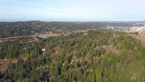Green-forest-surrounding-Coos-Bay-in-Oregon--aerial