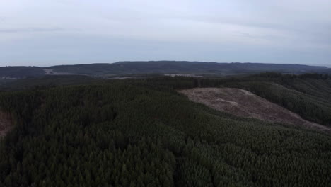 Clear-cuts-due-to-deforestation-in-Oregon---aerial