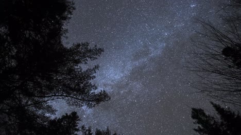 Rotierender-Zeitraffer-Der-Milchstraße-Und-Des-Winternachthimmels,-Silhouette-Von-Bäumen-In-Der-Naturlandschaft
