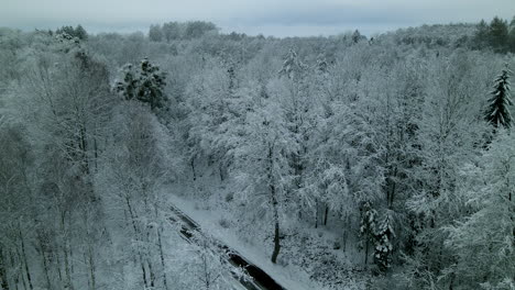 Trees-Covered-With-Snow-During-Winter-In-Pieszkowo,-Poland