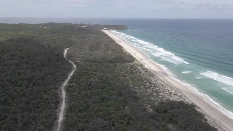 Green-Forest-At-Nature-Preserve-In-North-Stradbroke-Island---Track-At-Point-Lookout,-Queensland,-Australia