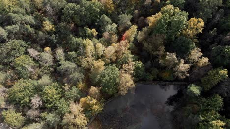 Top-down-aerial-view-of-a-pond-surrounded-by-beautiful-autumn-trees