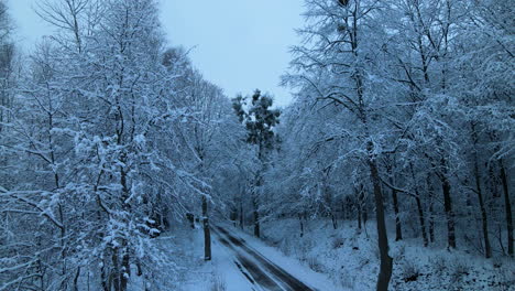Asphaltierte-Straße,-Umgeben-Von-Bäumen,-Die-Im-Winter-In-Pieszkowo,-Polen,-Mit-Schnee-Bedeckt-Sind